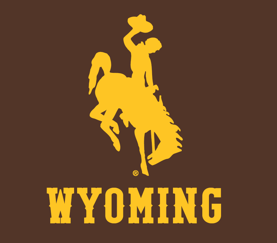 Wyoming Cowboys 2013-Pres Alternate Logo 01 vinyl decal